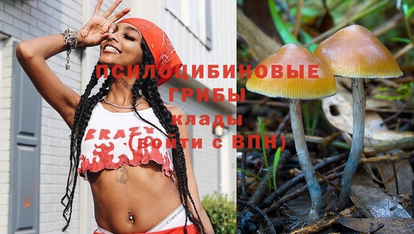СК Аркадак