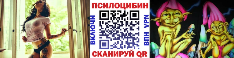 Галлюциногенные грибы ЛСД  дарнет шоп  Приозерск 